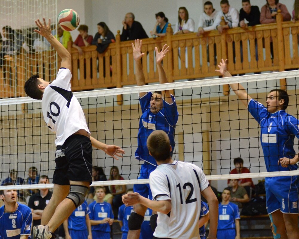 Volleyball knee patella Volleyball knee patella