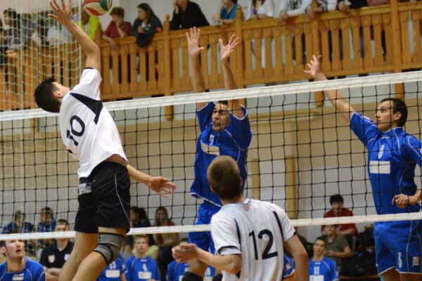 volleyball patellar
