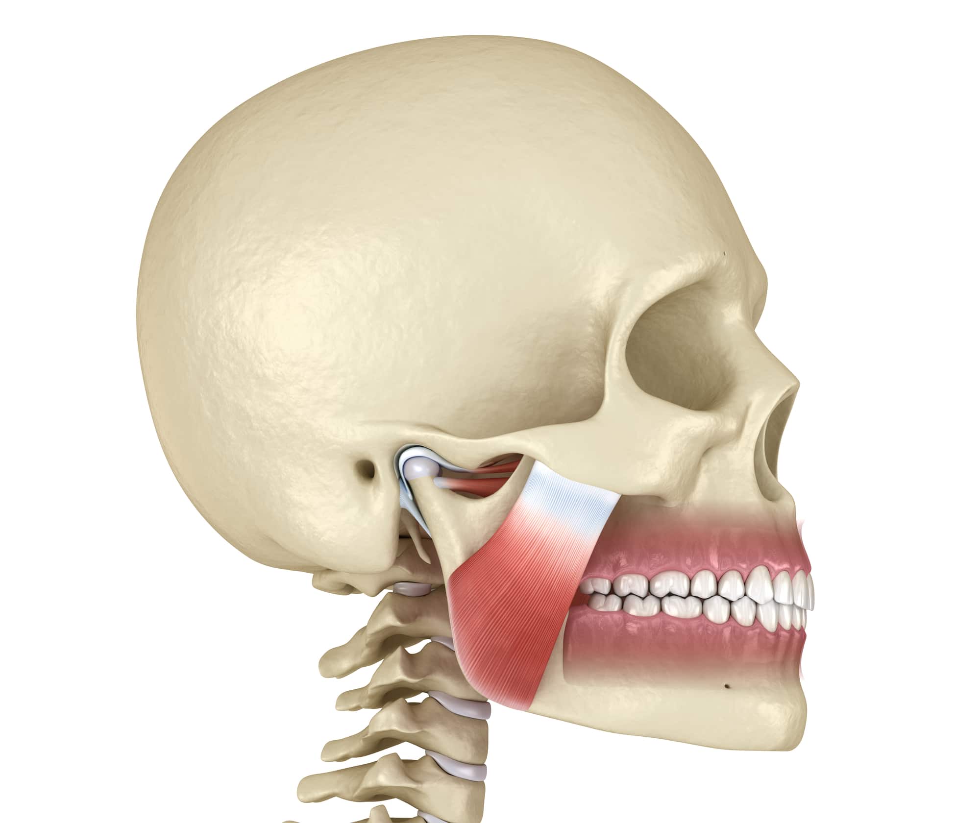 Tmj Injection Research on different TMJ injections - Joint Rehab and Sports Medical ...